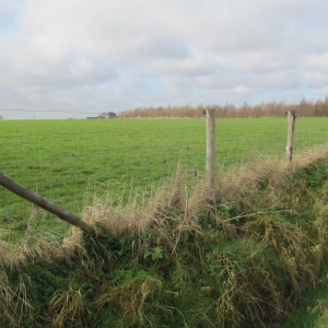 afsluitingen voor dieren